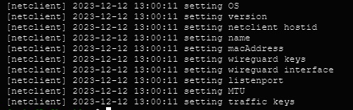Output from Netclient Install